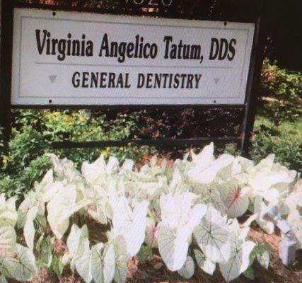 Angelico-Tatum Virginia DDS