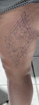 The outline