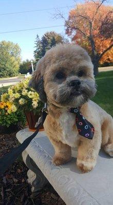 Charlie first hair cut