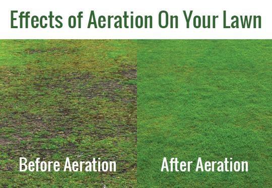 Aeration is the process of making finger sized holes in your lawn and depositing the removed material on the surface to break...