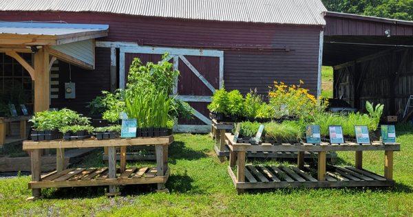 Plant tables