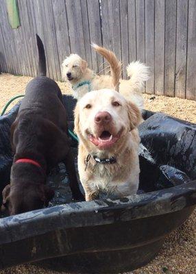 Parker loves the pool