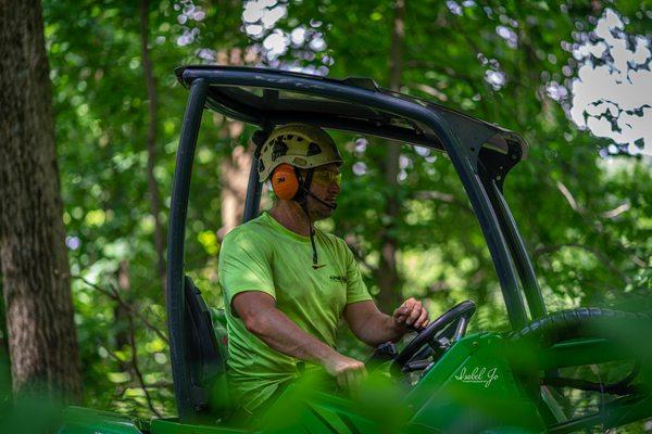 Alpine Tree Experts