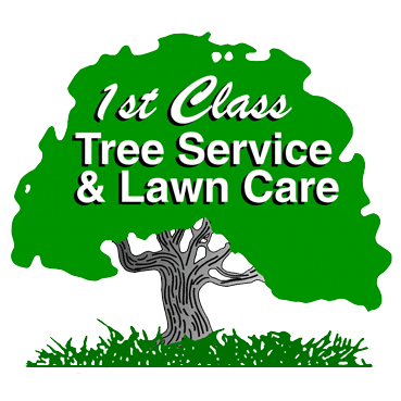 1st Class Tree Service and Lawn Care