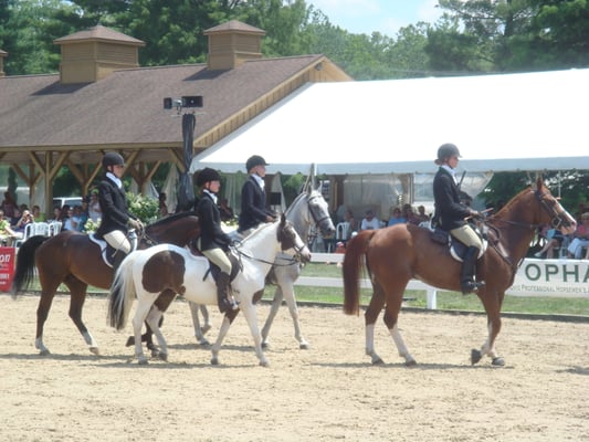 Horsehaven Riders riding at the Cleveland Grand Prix helping to show the Chagrin Valley Hunt hounds.