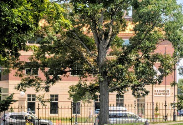 Building is next to executive mansion.