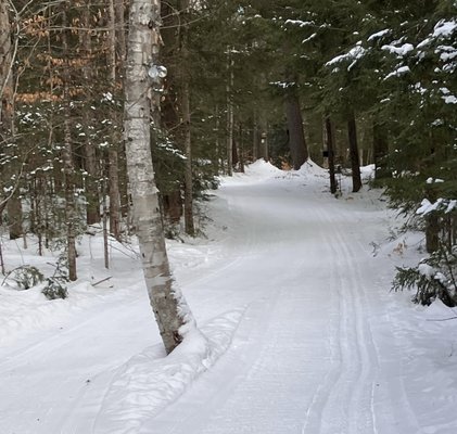 Viking Nordic Center