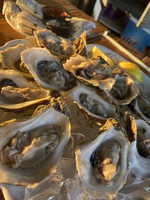 Oysters on the Half Shell