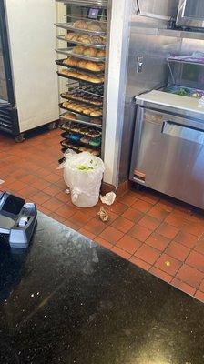 Trash can right beside the donuts.