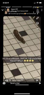 shit on the bathroom floor