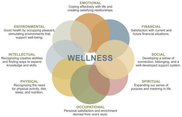 Youth In MInd follows the 8 dimensions of wellness as a tool to talk about mental health & wellness.