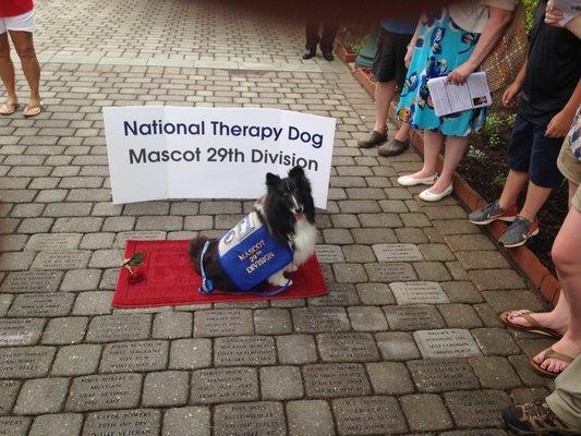 POWMIA
 The National Therapy Dog