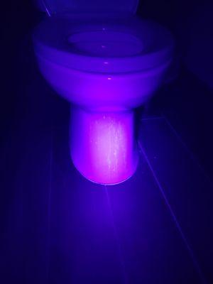 Urine on toilet