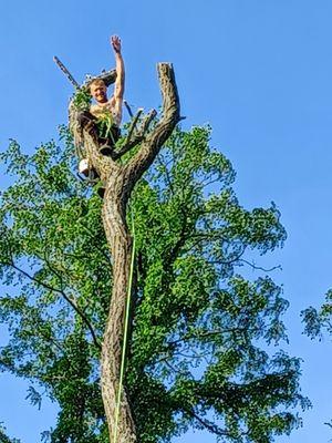 Large Locust Removal