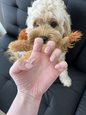 french tip manicure