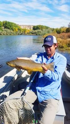 San Juan River Brown Trout