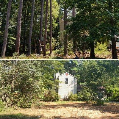 Before and after of 11 pine removals to give the customer a brand new front yard.