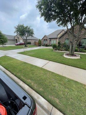 Sidewalks and driveway