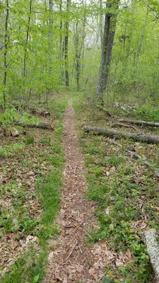 Pretty trail