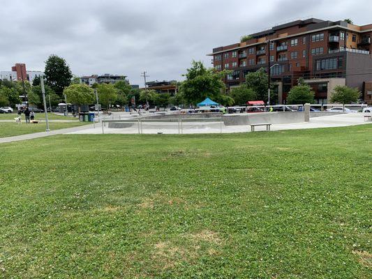 Grassy area and skate area.