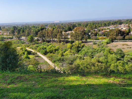 View from the hilltop