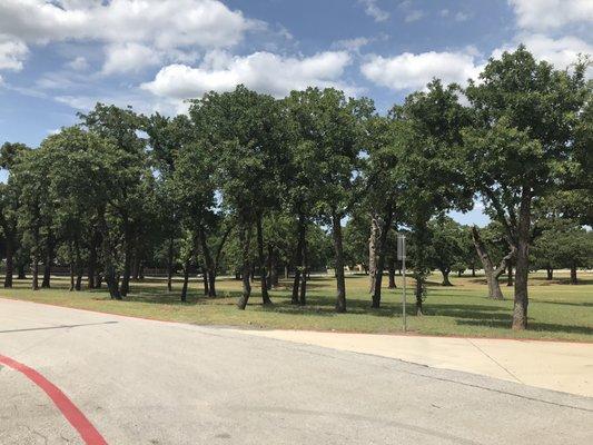 Treed area across parking lot from park