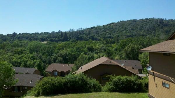 View off the back deck