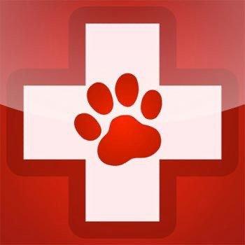 Animal CPR & First-Aid Certification