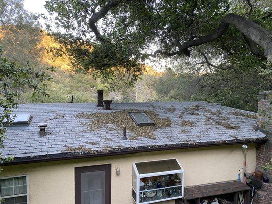 First photo of our old roof before HUS Roofing did their magic.