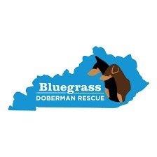 Bluegrass Doberman Rescue