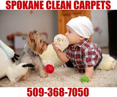 Spokane Clean Carpets is the best residential and commercial carpet cleaning company in Spokane, WA. Call today: 509-368-7050