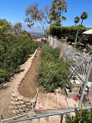 Retaining wall vegetable bed