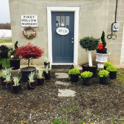 Wholesale/retail grower 
 Find us on Facebook at Piney Hollow Nursery 
 Open mon-Sunday