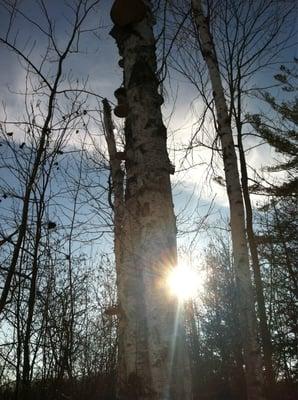 Beautiful day while snowshoeing around Ellis Lake!