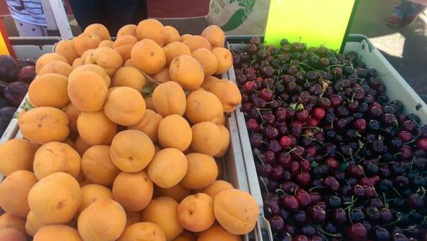 Apricots and cherries