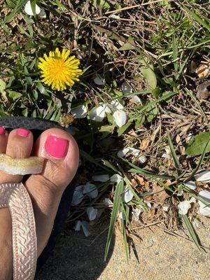 Beautifully finished pedicure