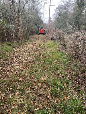 Land clearing with mulcher