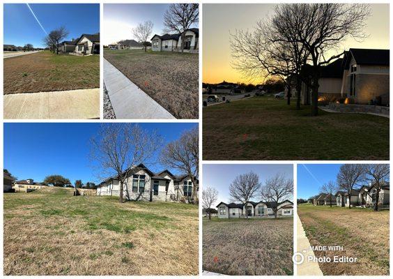 Before and after weed treatment as well as yard aeration.