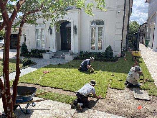 Zoysia sod by "The Sod Father"