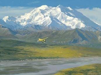 Denali Summer 
 by William S Phillips