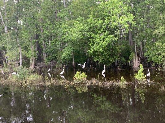 Very pretty surroundings at our dock spot