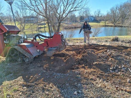 Stump grinding