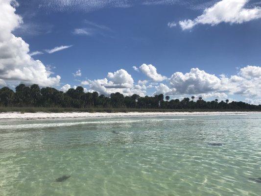 gulf side anclote island