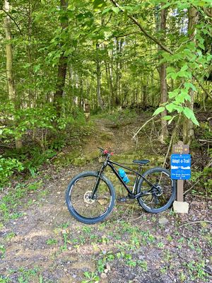 Entrance to Fern Trail