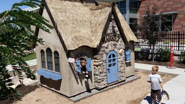 Fancy Built Playhouses