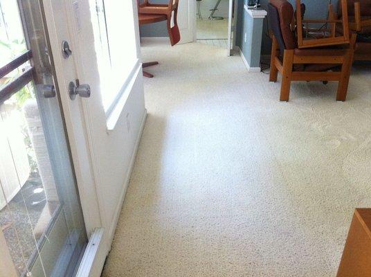 Carpet after we steam carpet cleaned!!