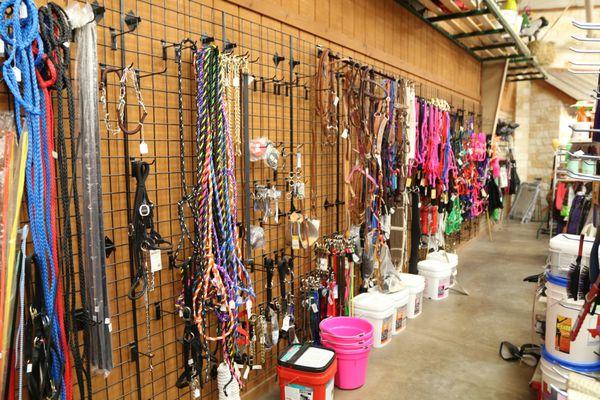 Leashes and collars for your animals in your life.