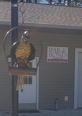 Free as a bird with Bail Bond Financing