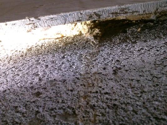 termite tunnel from of our properties this is caused by subterranean termites  coming up the slab of the foundation