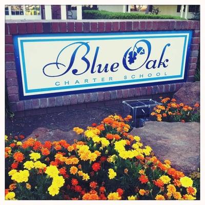 Blue Oak Charter School Inc